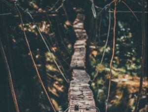 wood bridge